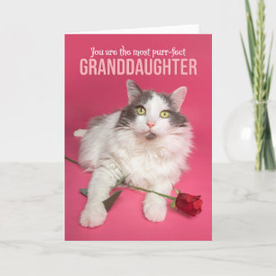 Happy Valentines Day Granddochter Cute Cat Feestdagen Kaart