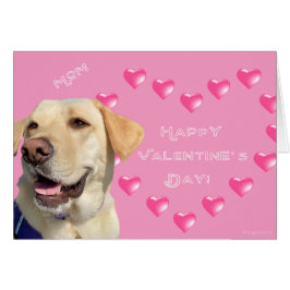 Happy Valentine's Day Mam,Dog Hearts Kaart
