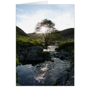 Happy Valley Northumberland, Angleterre