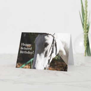 Happy Verlate Verjaardag White Horse Wenskaart Kaart