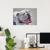Happy White Bulldog Poster (Thuiskantoor)