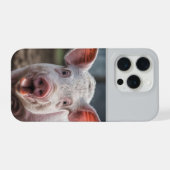 Happy White Pig Tongue Poke,  (Verso Horizontal)