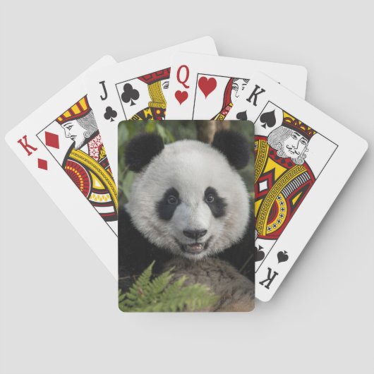 Happy young panda, China Pokerkaarten (Achterkant)