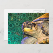 Happy Zee Turtle Briefkaart (Voorkant / Achterkant)