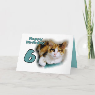 Happy Zesde verjaardag Calico Cat Kaart