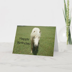 HappyBirthday Witte Pony Kaart