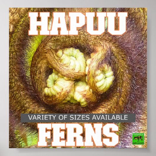 HAPUU FERNS BIG ISLAND HAWAII POSTER (Voorkant)