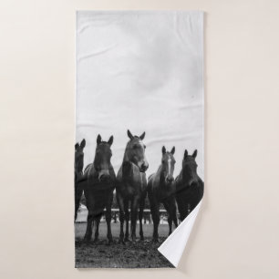 HARAS LA POLACA