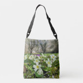 Harbinger de printemps partout sur le Sac fourre-t (Dos)