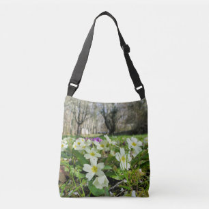 Harbinger de printemps partout sur le Sac fourre-t