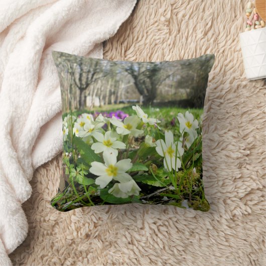 Harbinger du coussin de printemps (Couverture)