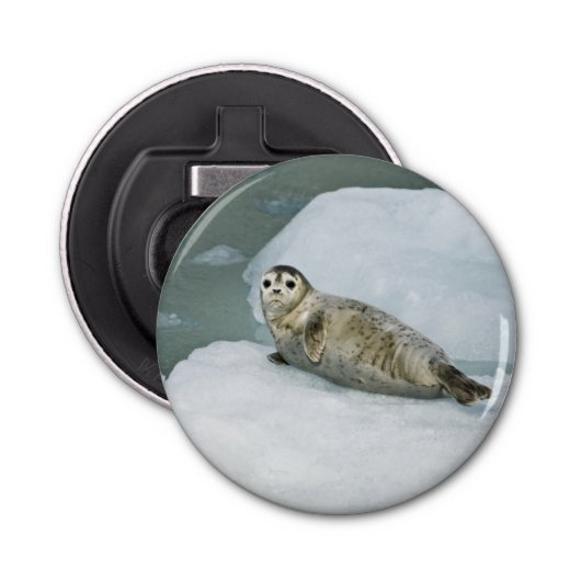 Harbor Seal Button Flesopener (Voorkant)