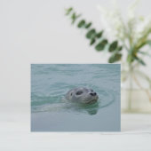 Harbor Seal zwemt in Jokulsarlon glacial Lake Briefkaart (Staand voorkant)