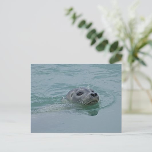 Harbor Seal zwemt in Jokulsarlon glacial Lake Briefkaart (Staand voorkant)
