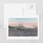 Harborview van Bay en Mt. Tamalpais Briefkaart (Voorkant / Achterkant)