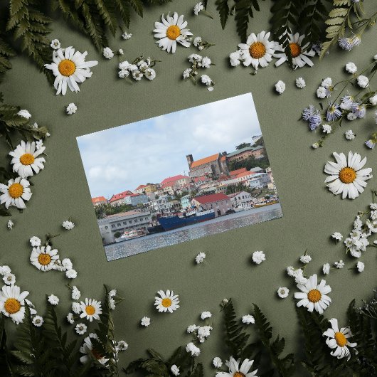 Harbour of St. George's Briefkaart