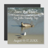 Harbour Seal in La Jolla California (Voorkant / Achterkant)