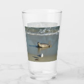 Harbour Seal in La Jolla California Glas (Achterkant)