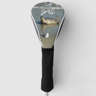 Harbour Seal in La Jolla California Golfheadcover