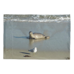 Harbour Seal in La Jolla California Kussensloop