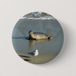 Harbour Seal in La Jolla California Ronde Button 5,7 Cm