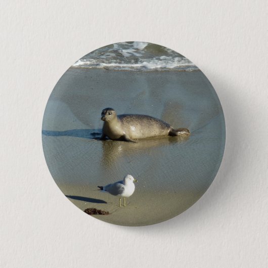 Harbour Seal in La Jolla California Ronde Button 5,7 Cm (Voorkant)