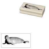 Harbour Seal in La Jolla California Rubberstempel (Gestempeld)
