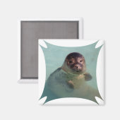 Harbour Seal Square Magnet Magneet (Voorkant / Achterkant)