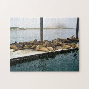 Harbour Seals, Morro Bay, Californië Legpuzzel