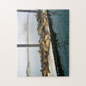 Harbour Seals, Morro Bay, Californië Legpuzzel (Verticaal)