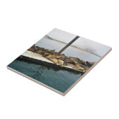 Harbour Seals, Morro Bay, Californië Tegeltje (Zijkant)