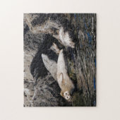 Harbour-zeehonden die in de Zon van de zomer ligge Legpuzzel (Verticaal)