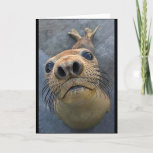 "HARD OM JE TE ZIEN VERLATEN** KAART