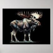 Hard Pastel Tekening Moose Poster (Voorkant)