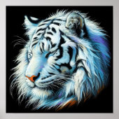 Hard pastel tekening witte tijger poster (Voorkant)