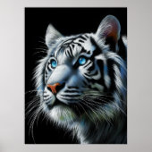 Hard pastel tekening witte tijger poster (Voorkant)