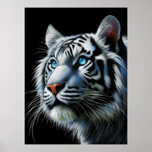 Hard pastel tekening witte tijger poster (Voorkant)