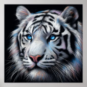 Hard pastel tekening witte tijger poster (Voorkant)