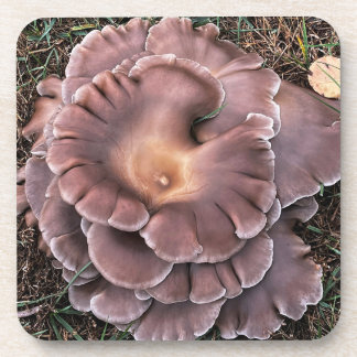 Hard plastic coaster Fungi Bier Onderzetter