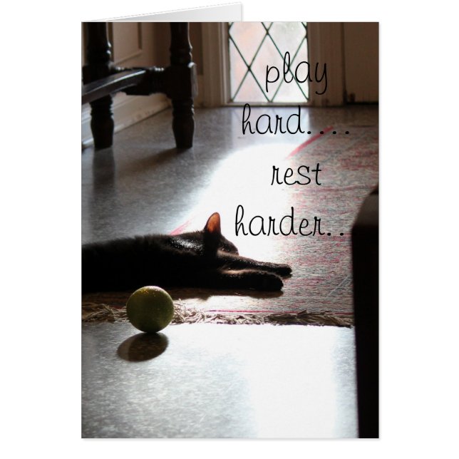hard spelen... rust harder slapen kat met speelgoe (Voorkant)