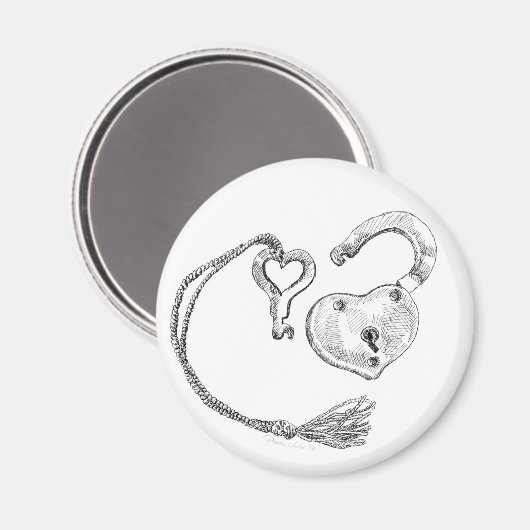 Harde vergrendeling en sleutel magneet (Voorkant / Achterkant)