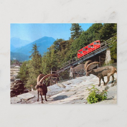 Harder Kulm Funicular Railway, Interlaken Briefkaart (Voorkant)