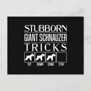 Hardnekkige reuzenschnauzer trucs, grappige reuzen briefkaart