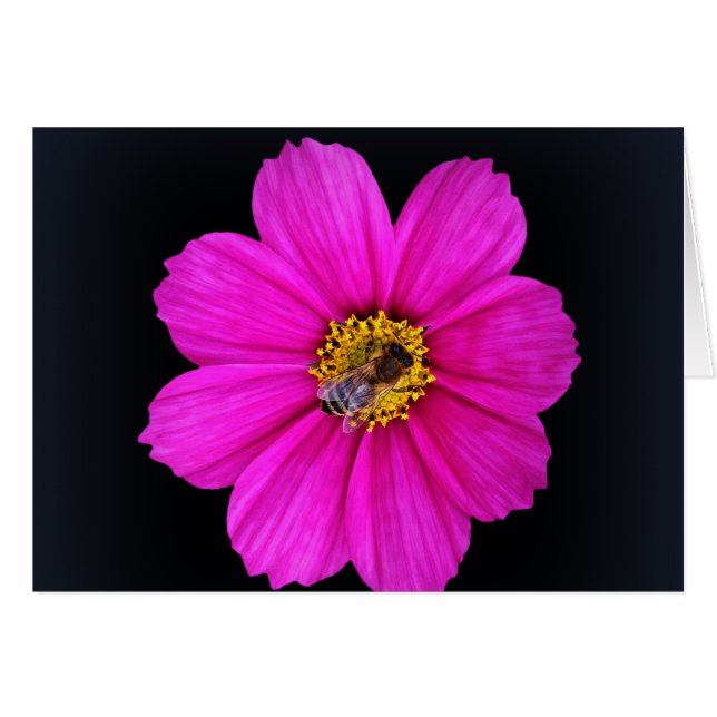 hardwerkende bijen (Voorkant Horizontaal)