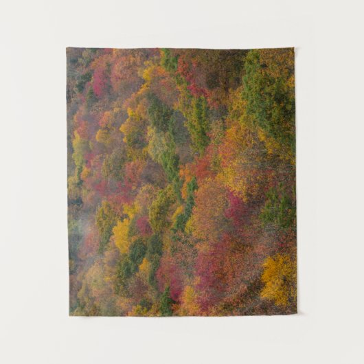 Hardwood Forest in Randolph County, West Virginia Wandkleed (Voorkant)