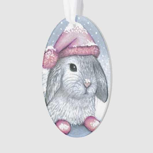 Hare 14 rabbit ornament (voorkant)