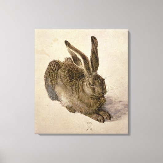 Hare, 1502 canvas afdruk (Voorkant)
