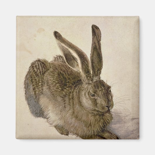 Hare, 1502 magneet (Voorkant)