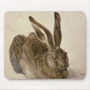 Hare, 1502 muismat