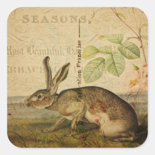 Hare Animal Illustration Floral Collage Vierkante Sticker